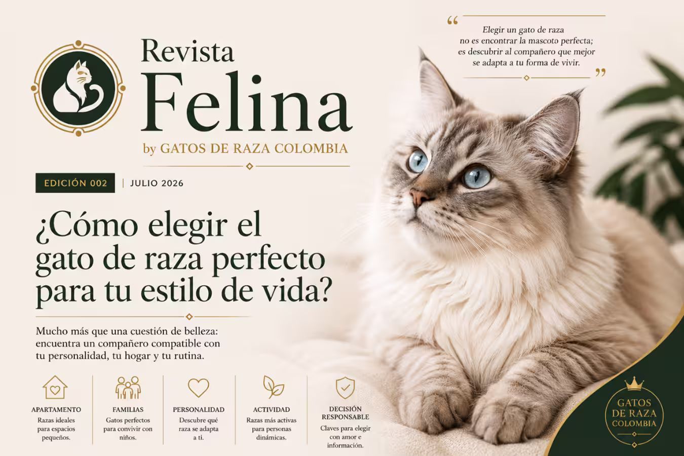 ¿Cómo elegir el gato de raza perfecto para tu estilo de vida?